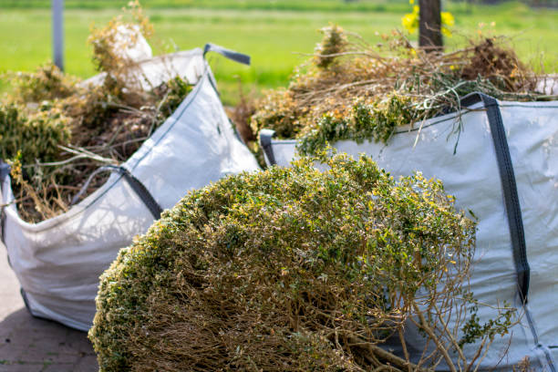 Best Yard Waste Removal  in Fort Thomas, KY